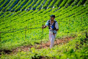 BIB: 
                            <button type="button" onclick="openModal(19161904)" class="btn btn-primary btn-sm float-right btn-popup" data-toggle="modal" data-target=".modal-high-quality">
                        <i class="fas fa-shopping-cart"></i> Add to Cart
                    </button>
                                            <button type="button" onclick="isThisMe(19161904, true)" class="btn btn-success btn-sm float-right btn-popup btn-isme hidden" data-toggle="tooltip" data-placement="bottom" title="นี่คือรูปของคุณใช่ไหม คลิกที่นี่เพื่อเอาเข้าอัลบั้ม">
                        <i class="fas fa-plus"></i> Add to album
                    </button>
                    <button type="button" onclick="isThisMe(19161904, false)" class="btn btn-warning btn-sm float-right btn-popup btn-isnotme hidden">
                        <i class="fas fa-ban"></i> Remove from album
                    </button>